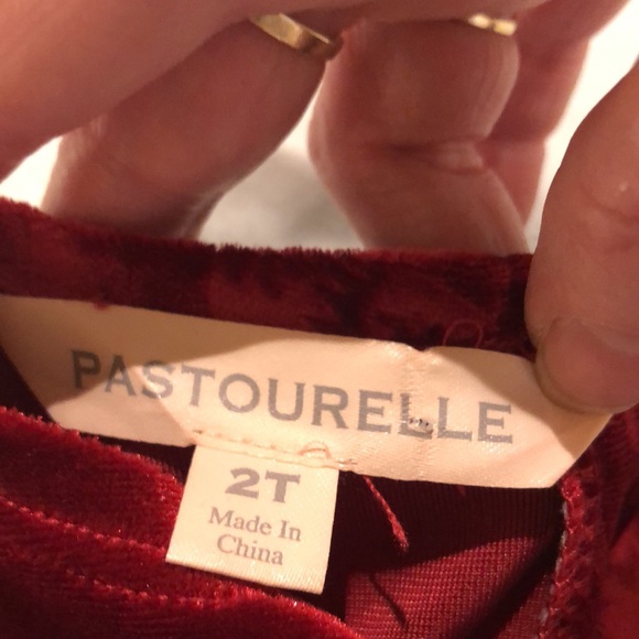 🥳Pastourelle velour and crinoline dress size 2T - Picture 8 of 8